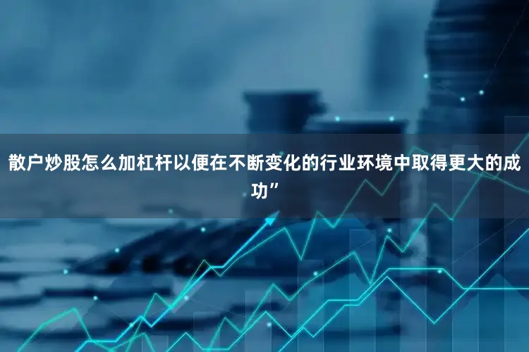 散户炒股怎么加杠杆以便在不断变化的行业环境中取得更大的成功”