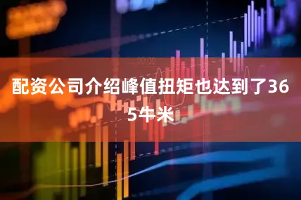 配资公司介绍峰值扭矩也达到了365牛米