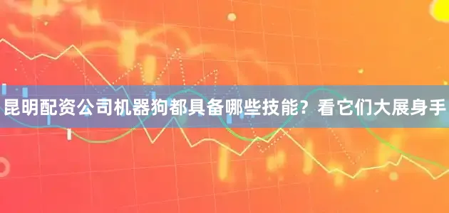 昆明配资公司机器狗都具备哪些技能？看它们大展身手