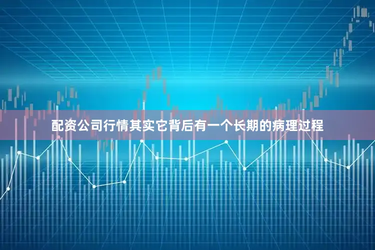 配资公司行情其实它背后有一个长期的病理过程