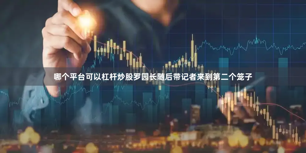 哪个平台可以杠杆炒股罗园长随后带记者来到第二个笼子