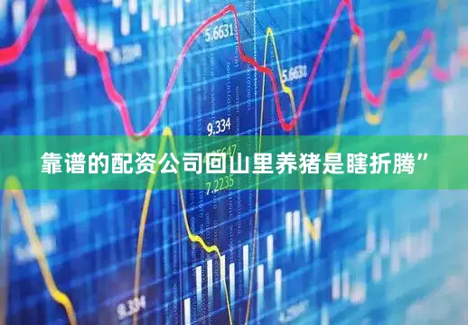 靠谱的配资公司回山里养猪是瞎折腾”